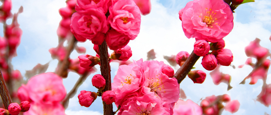 分类-自媒体自学-自媒体之家