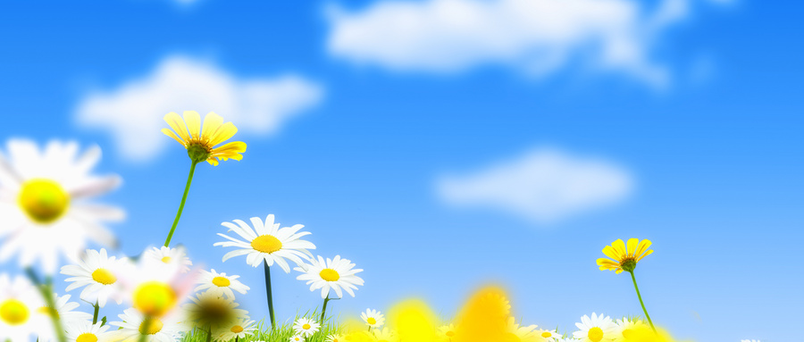 分类-自媒体平台-自媒体之家