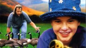 剧情电影《伴你高飞》解说文案/剧情详述/解说教程/片源下载 20221108160843-636a7f0b926d1.jpg