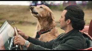 剧情电影《我在雨中等你》解说文案/剧情详述/解说教程/片源下载 20221108161204-636a7fd4f339a.jpg