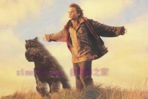 剧情电影《义犬报恩》解说文案/剧情详述/解说教程/片源下载 20221108170134-636a8b6e5a55a.jpg