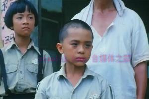 剧情电影《鲁冰花》解说文案/剧情详述/解说教程/片源下载 20221108171755-636a8f43046fd.jpg