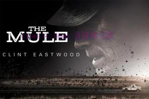 剧情电影《骡子》解说文案/剧情详述/解说教程/片源下载 20221108174507-636a95a39c1bb.jpg