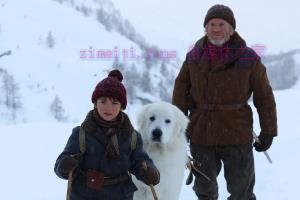 剧情电影《灵犬雪莉》解说文案/剧情详述/解说教程/片源下载 20221108175851-636a98db1b04a.jpg