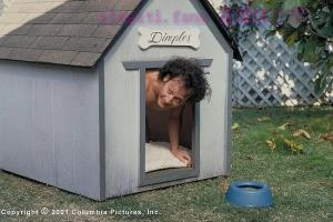 喜剧电影《人面兽心》解说文案/剧情详述/解说教程/片源下载 20221108182343-636a9eafaf7e3.jpg