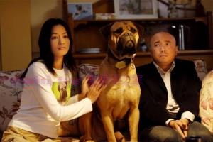 剧情电影《爱情呼叫转移》解说文案/剧情详述/解说教程/片源下载 20221108182641-636a9f6174e53.jpg