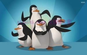 动漫电影《马达加斯加企鹅》解说文案/剧情详述/解说教程/片源下载 20221108184030-636aa29e05c3a.jpg