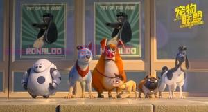 动漫电影《宠物联盟》解说文案/剧情详述/解说教程/片源下载 20221108190735-636aa8f7a7575.jpg