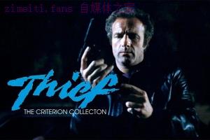 犯罪电影《大盗独行》解说文案/剧情详述/解说教程/片源下载 20221108192311-636aac9f8971f.jpg