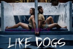 惊悚电影《人模狗样》解说文案/剧情详述/解说教程/片源下载 20221108192947-636aae2b06a11.jpg