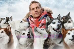 剧情电影《南极大冒险》解说文案/剧情详述/解说教程/片源下载 20221108201239-636ab837eedb3.jpg