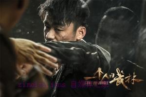 动作电影《一个人的武林》解说文案/剧情详述/解说教程/片源下载 20221108201921-636ab9c914180.jpg