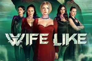 科幻电影《仿生人妻子》解说文案/剧情详述/解说教程/片源下载 20221108215606-636ad07618a68.jpg