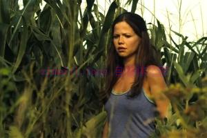 恐怖电影《外壳》解说文案/剧情详述/解说教程/片源下载 20221108222417-636ad711ef787.jpg