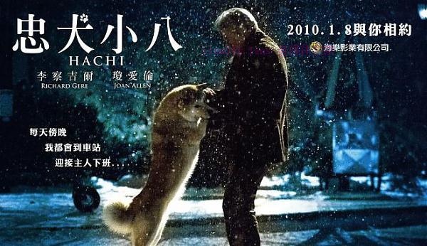 电影《忠犬八公》解说文案/剧情详述/解说教程及全剧下载 20221108224617-636adc39598b4.jpg