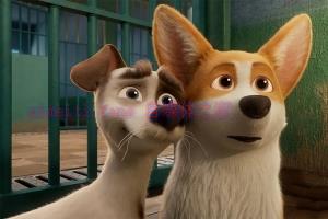 动漫电影《女王的柯基》解说文案/剧情详述/解说教程/片源下载 20221108230428-636ae07c9aefe.jpg