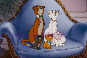 动漫电影《猫儿历险记》解说文案/剧情详述/解说教程/片源下载 20221108232638-636ae5ae722dc.jpg