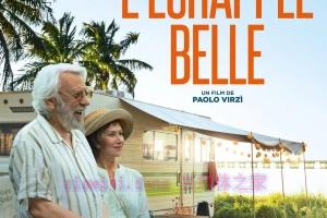 喜剧电影《爱在记忆消逝前》解说文案/剧情详述/解说教程/片源下载 20221126042250-6381949ae3ca8.jpg