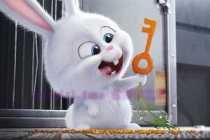 动漫电影《爱宠大机密》解说文案/剧情详述/解说教程/片源下载 20221219105235-63a04273b491e.jpg