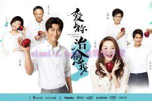 电视剧《爱上你治愈我》40集电视剧解说文案/剧情详述/解说教程/片源下载 20230311043739-640c05938517f.jpg