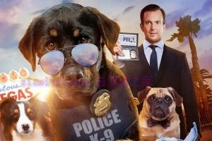 喜剧电影《汪星卧底》解说文案/剧情详述/解说教程/片源下载 20230311043746-640c059a13488.jpg