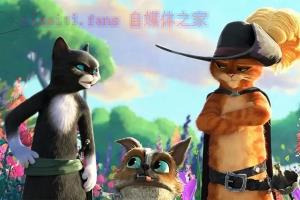 动漫电影《穿靴子的猫2》解说文案/剧情详述/解说教程 20230610082347-64843313751bf.jpg