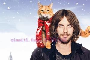 喜剧电影《流浪猫鲍勃》解说文案/剧情详述/解说教程/片源下载 20230610085045-64843965a75cd.jpg