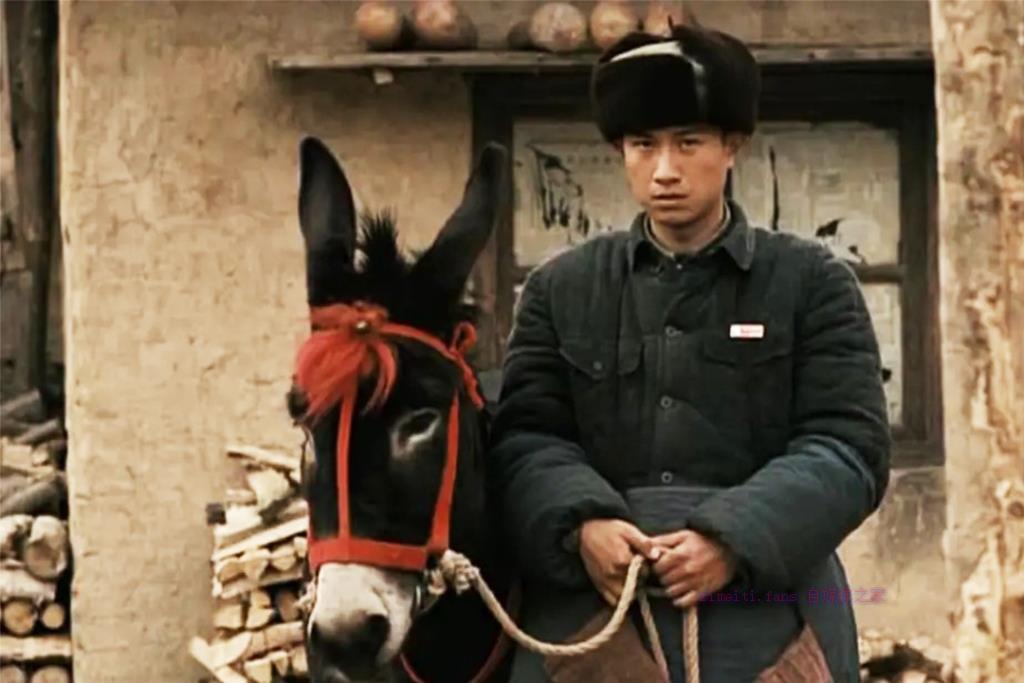 剧情电影《走着瞧》解说文案/剧情详述/解说教程 20230625030051-6497ade38bdba.jpg