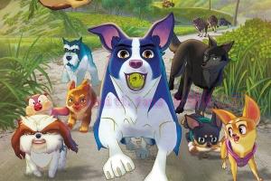 动漫电影《萌犬流浪记》解说文案/剧情详述/解说教程 20230730233515-64c6f3b3537f4.jpg