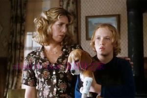 剧情电影《夏伊洛》解说文案/剧情详述/解说教程 20230909004931-64fbc11be33aa.jpg