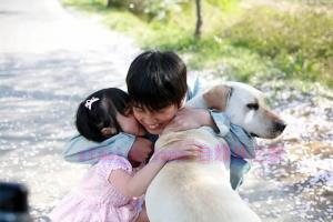 剧情电影《人狗奇缘》解说文案/剧情详述/解说教程 20230919044623-6509279fbe7aa.jpg