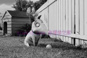 动漫电影《科学怪狗》解说文案/剧情详述/解说教程 20231124105828-656081d46d490.jpg