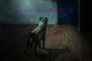 恐怖电影《当邪恶潜伏时》解说文案/剧情详述/解说教程 20240111113524-659fd27c227c0.jpg