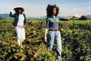 剧情电影《秋天的故事》解说文案/剧情详述/解说教程 20240320091436-65faa8fcd7703.jpg