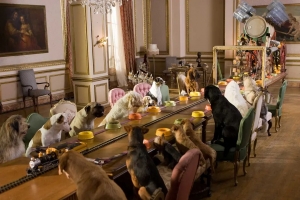 剧情电影《狗狗旅馆》解说文案/片源下载 20220325152327-623dde6fe5109.jpg