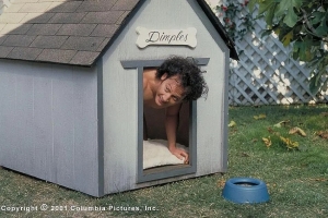 喜剧电影《人面兽心》解说文案/片源下载 20220325152529-623ddee953f23.jpg