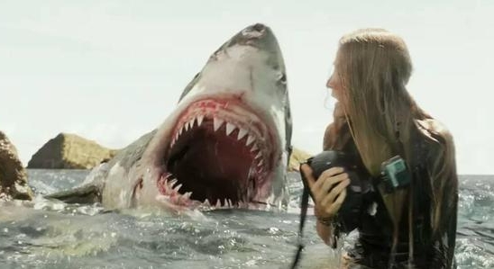 美国惊悚片《鲨滩》解说文案/片源下载 20220325155152-623de518781be.jpg