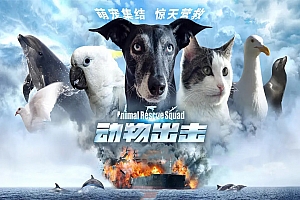 科幻电影《动物出击》解说文案/片源下载-自媒体之家