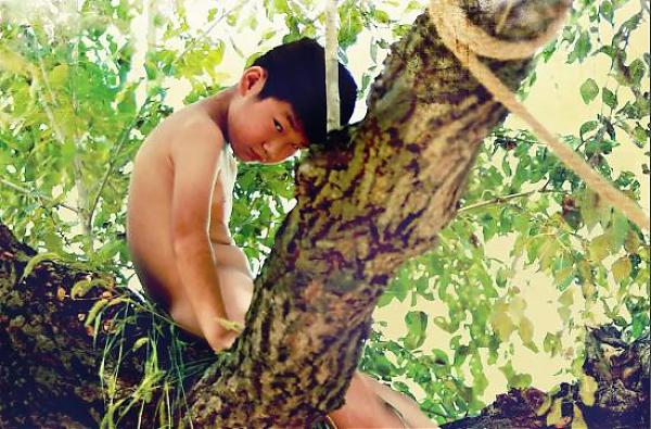 剧情电影《树上有个好地方》解说文案及全剧下载 20220325161929-623deb91bcd26.jpg