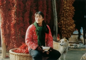 剧情电影《秋菊打官司》解说文案/片源下载 20220325162009-623debb9b086d.jpg