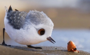 励志动画电影《鹬》解说文案/片源下载 20220325162610-623ded22096d2.jpg