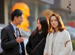 电视剧《一树桃花开》42集电视剧解说文案/片源下载(完结) 20220325162838-623dedb69b851.jpg