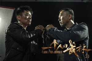 动作电影《一个人的武林》解说文案/片源下载 20220325163859-623df0233f379.jpg