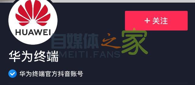 抖音认证有什么好处？抖音蓝V认证15大权益解读