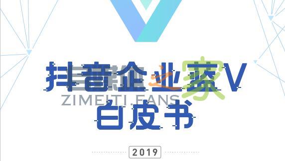 2019《抖音企业蓝V白皮书》发布，蓝V账号数量增长 44.6 倍-自媒体之家