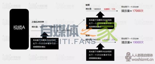 别再花冤枉钱了,Dou+应该这么投 20220326103938-623eed6a60823.jpg