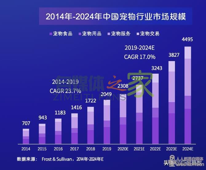 “萌宠经济”大流行，铲屎官们快来看看吧