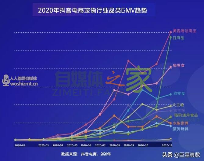“萌宠经济”大流行，铲屎官们快来看看吧