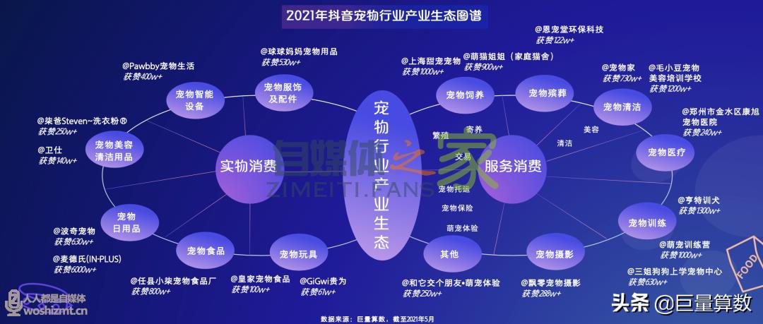 “萌宠经济”大流行，铲屎官们快来看看吧