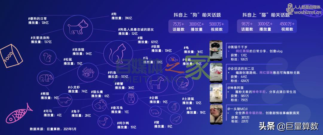 “萌宠经济”大流行，铲屎官们快来看看吧